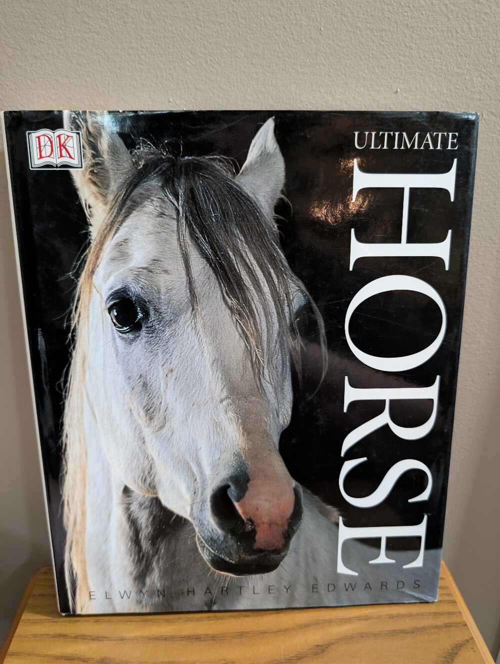 DK Ultimate Horse book